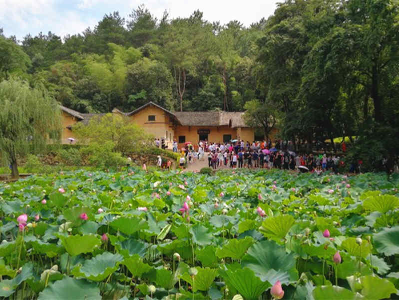 伟人故里-韶山+《中国出了个毛泽东演出》+花明楼 一日游