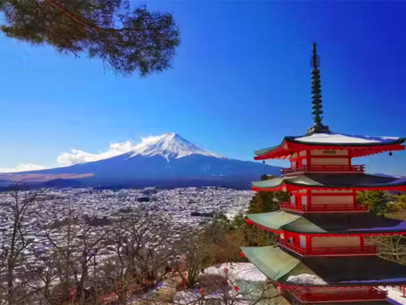 京都赏】日本深度别样京都 7日游